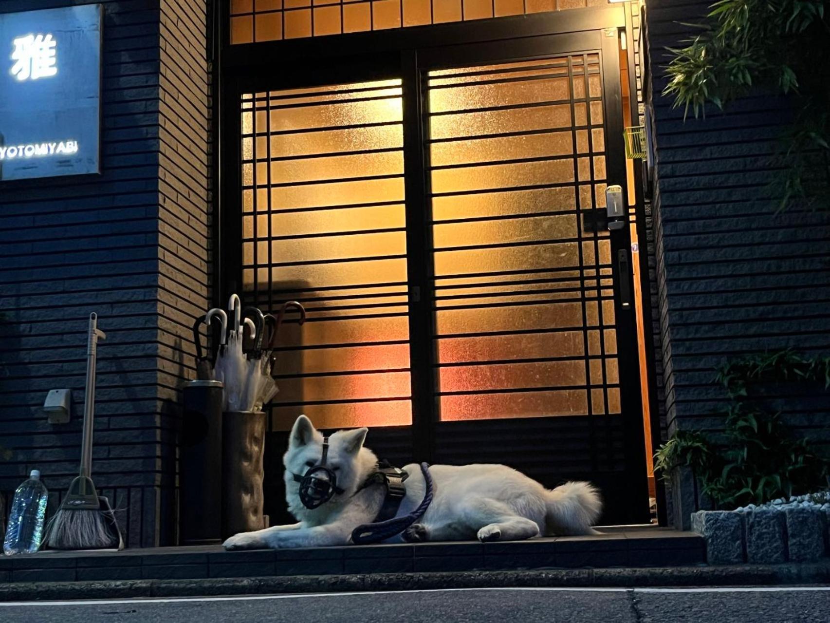 雅 Hotell Kyoto Exteriör bild